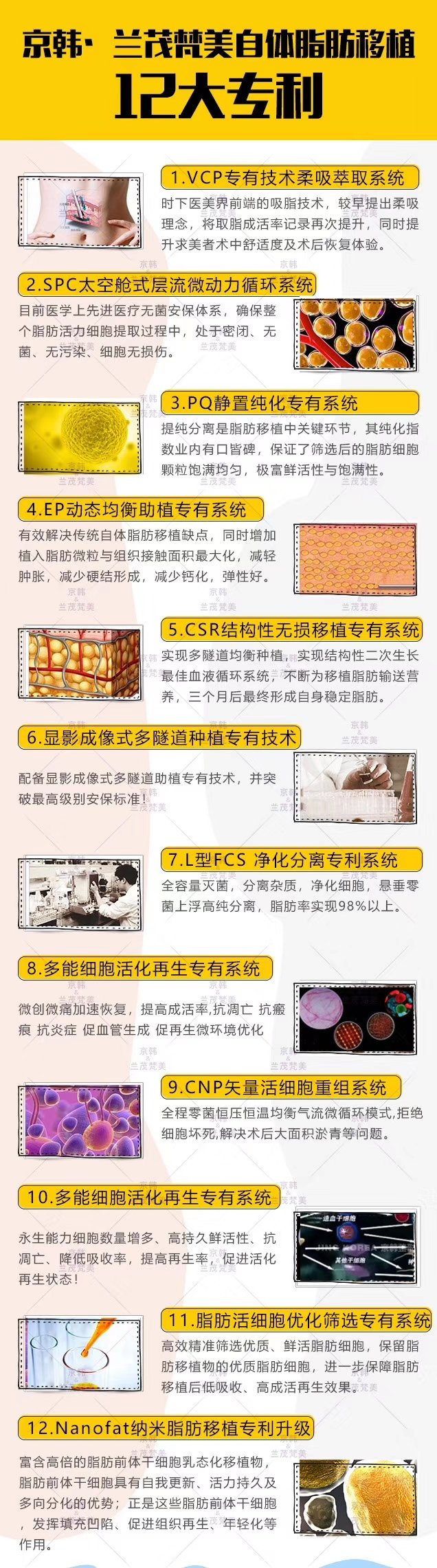 京韩12项脂肪专利技术